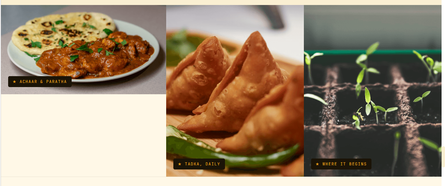 USHBHA mustard oil in use — achaar, tadka and where it begins